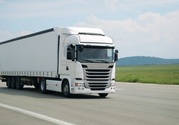 camión blanco transporte