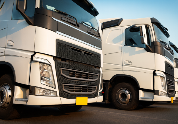 camiones de transporte blancos estacionados