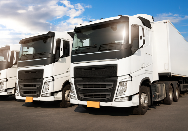 camiones blancos estacionados